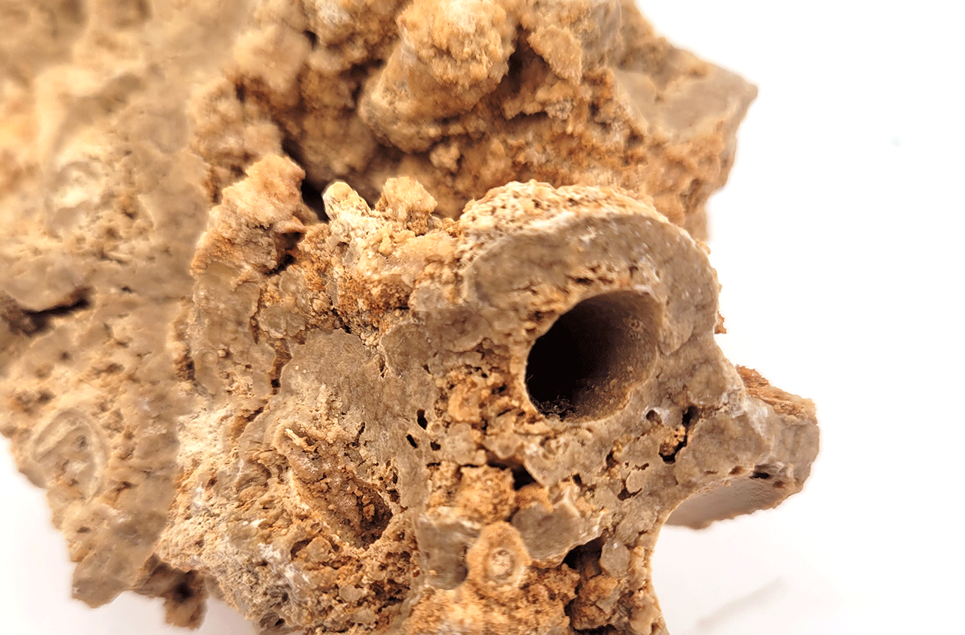 nanorock_coastal_detail_1