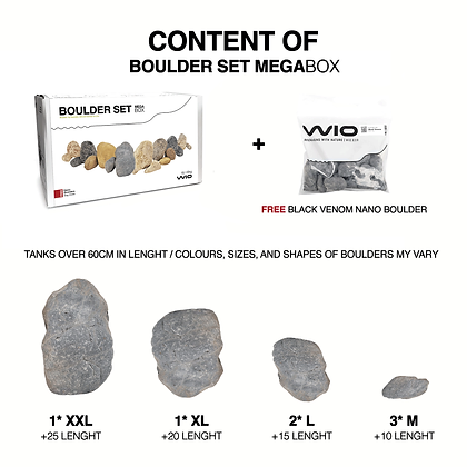 wio_boulder_blackvenom_4
