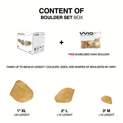 wio_boulder_bumblebee_2