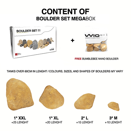 wio_boulder_bumblebee_3