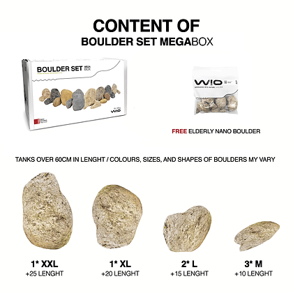 wio_boulder_elderly_3