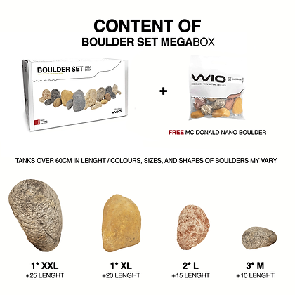 wio_boulder_mcdonald_4