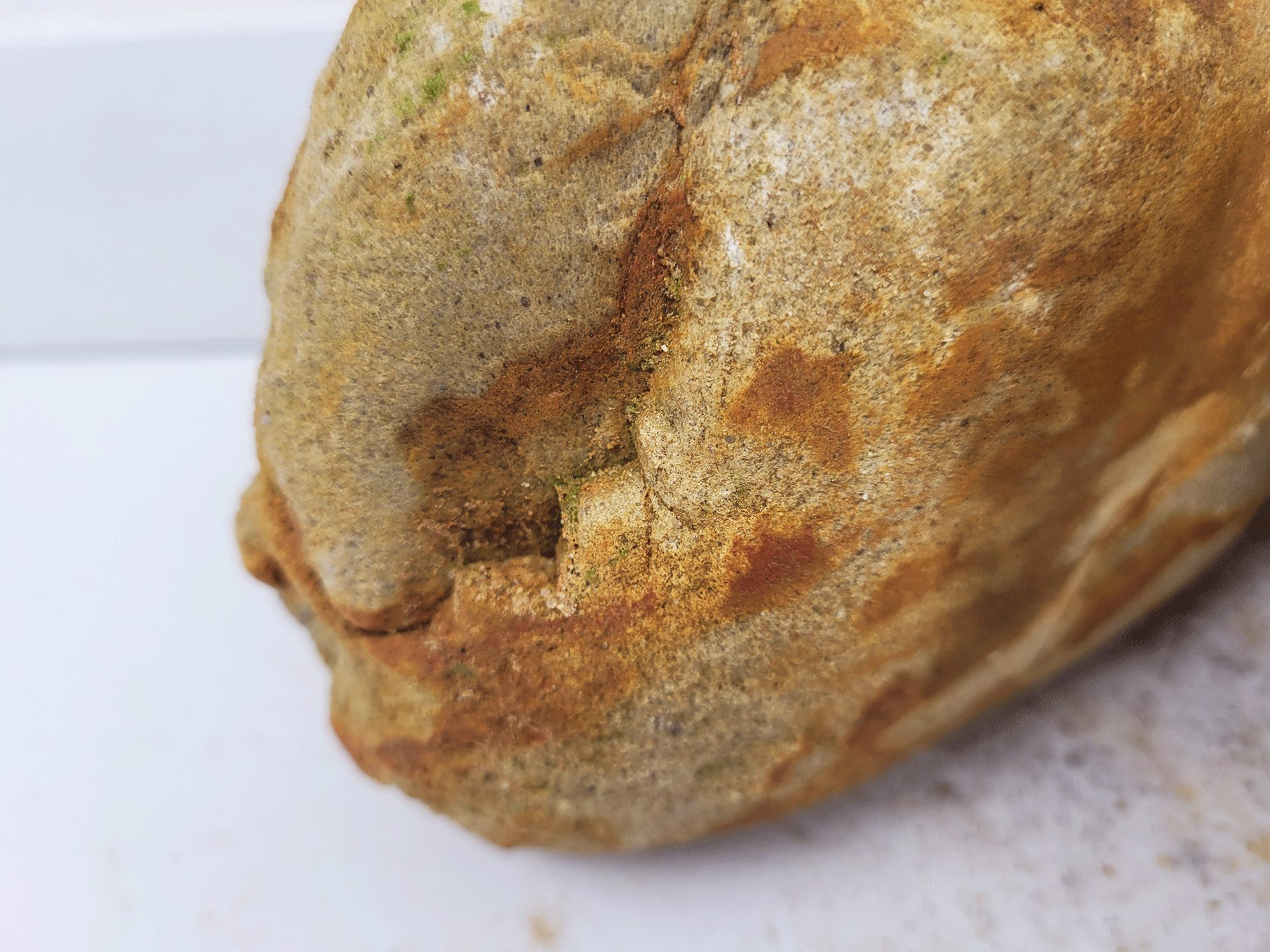 wio_boulders_bumblebee_detail