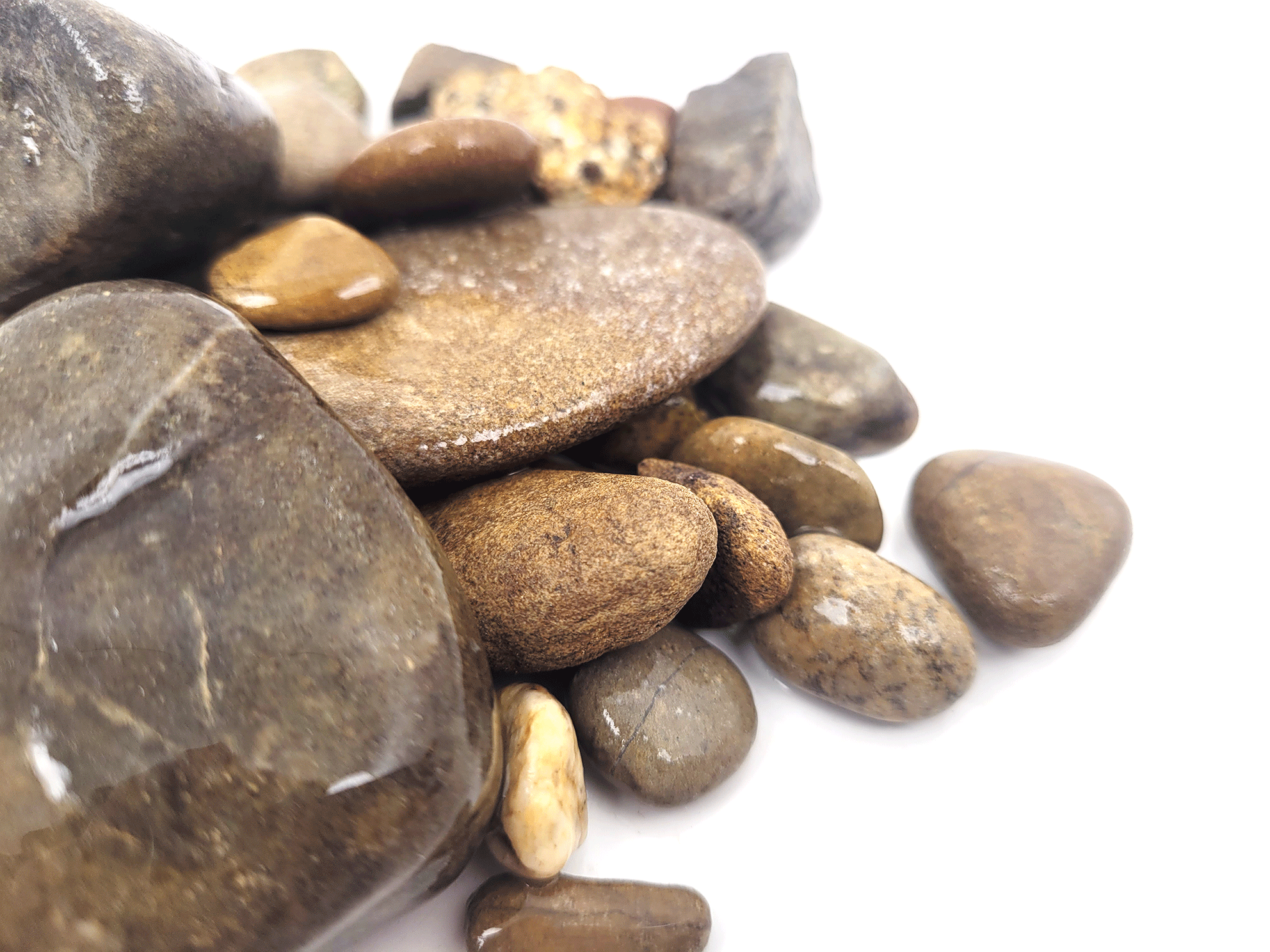 wio_gravel_elderly_detail