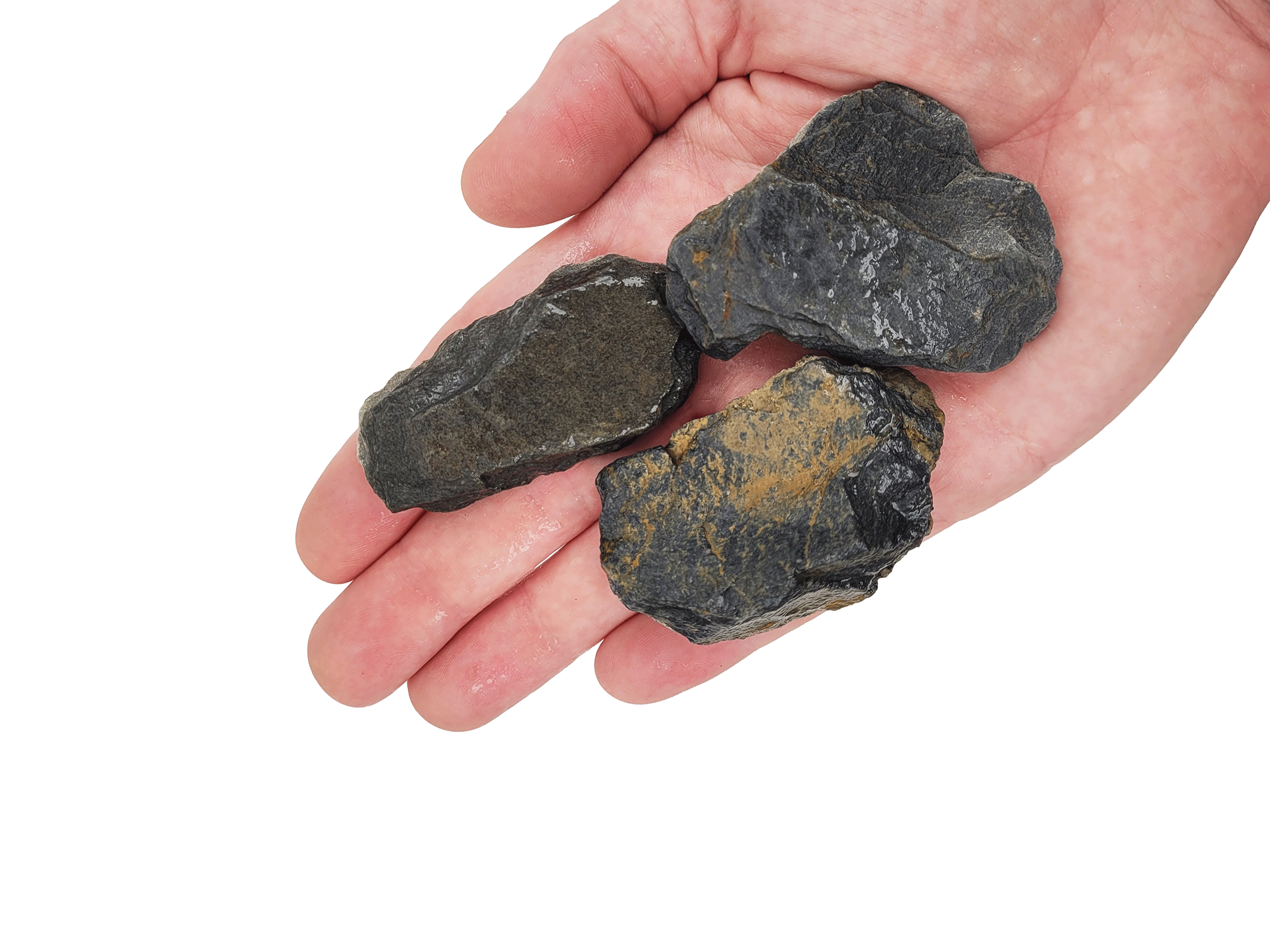 wio_nanorocks_bumblebee_hand