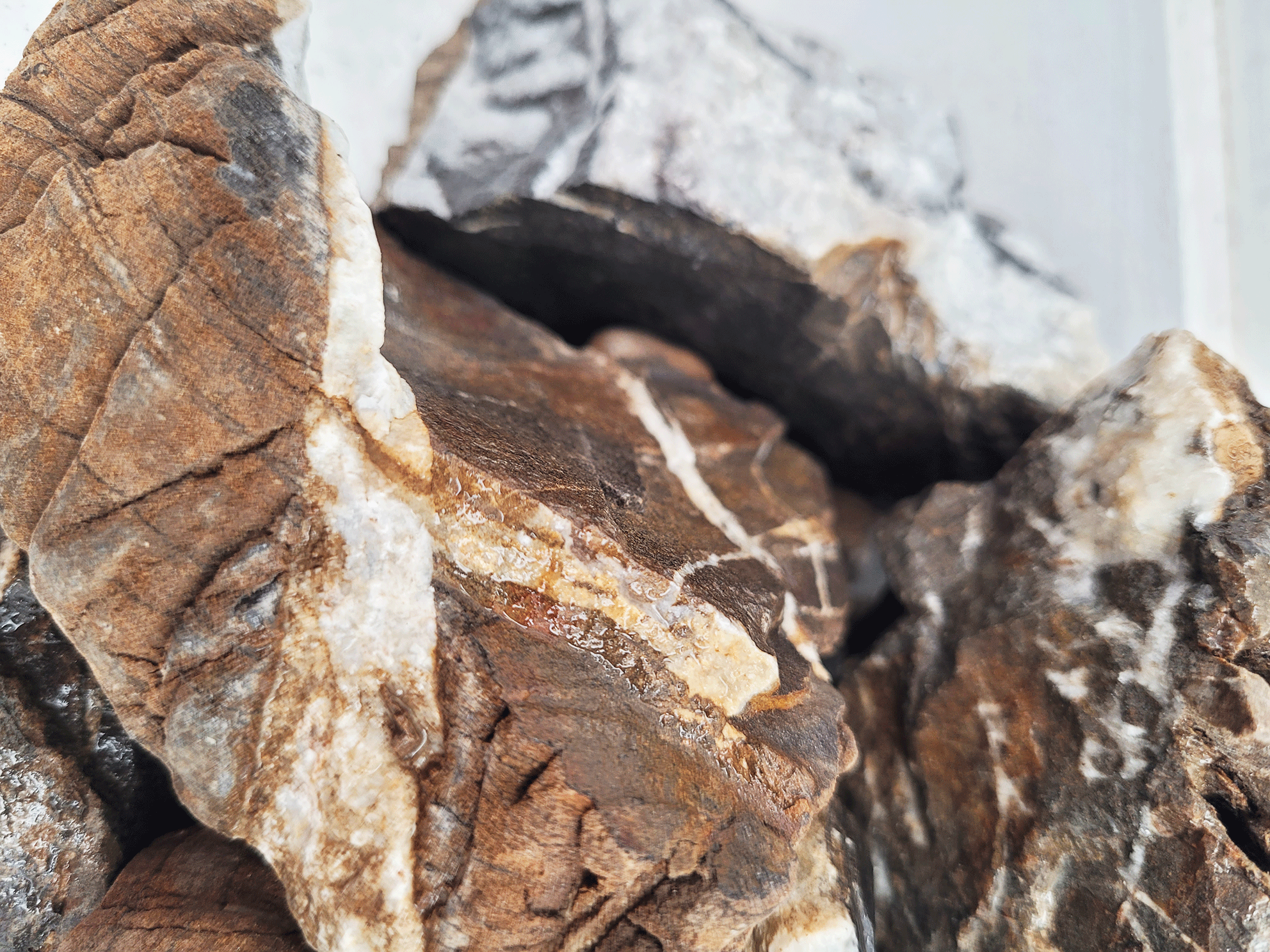 wio_nanorocks_elderly_detail