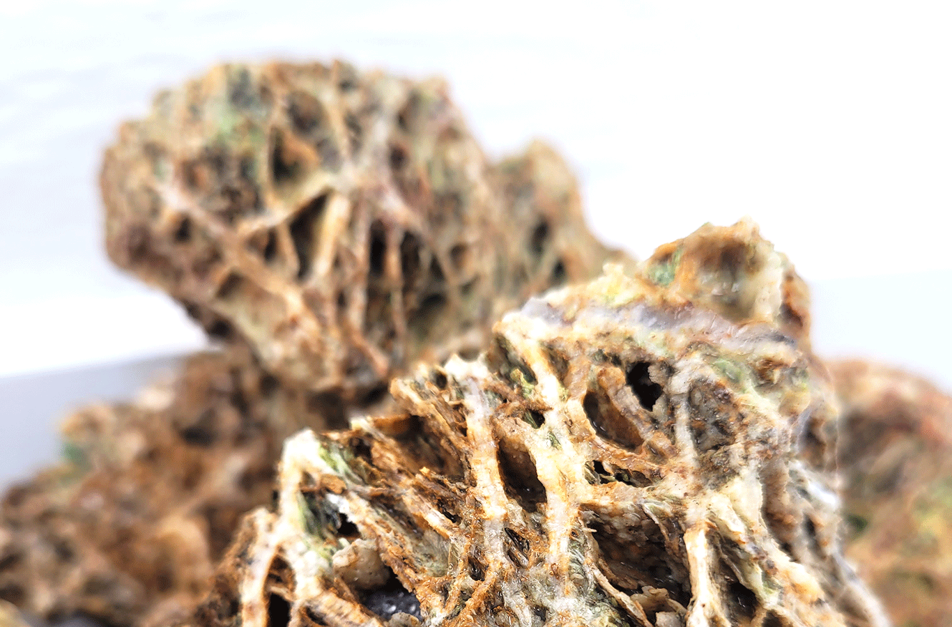 wio_stones_web_detail